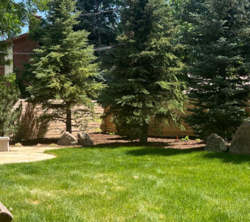 358 Arapahoe: Outdoor Living in Full Bloom