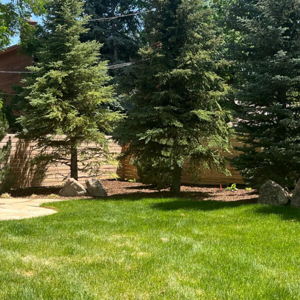 358 Arapahoe: Outdoor Living in Full Bloom