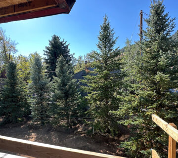 Mature Spruce Trees Planted at 358 Arapahoe