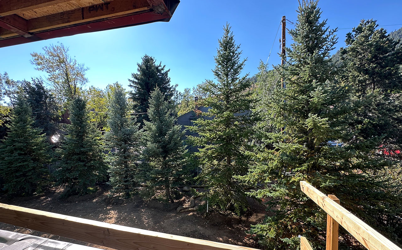 Mature Spruce Trees Planted at 358 Arapahoe
